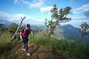 BIB: 
                            <button type="button" onclick="openModal(22373917)" class="btn btn-primary btn-sm float-right btn-popup" data-toggle="modal" data-target=".modal-high-quality">
                        <i class="fas fa-shopping-cart"></i> Add to Cart
                    </button>
                                            <button type="button" onclick="isThisMe(22373917, true)" class="btn btn-success btn-sm float-right btn-popup btn-isme hidden" data-toggle="tooltip" data-placement="bottom" title="นี่คือรูปของคุณใช่ไหม คลิกที่นี่เพื่อเอาเข้าอัลบั้ม">
                        <i class="fas fa-plus"></i> Add to album
                    </button>
                    <button type="button" onclick="isThisMe(22373917, false)" class="btn btn-warning btn-sm float-right btn-popup btn-isnotme hidden">
                        <i class="fas fa-ban"></i> Remove from album
                    </button>